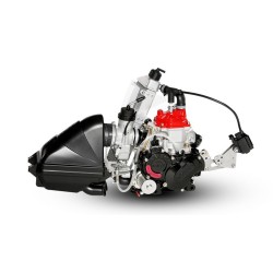 Komplet Rotax Mini EVO motor *** Leasing 2017 ***