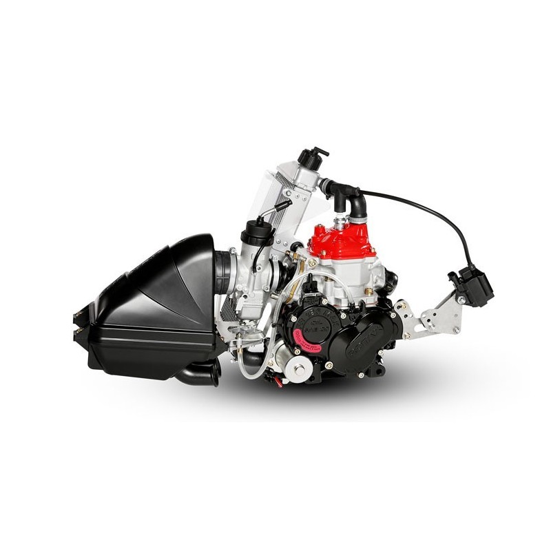 Komplet Rotax Mini EVO motor *** Leasing 2017 ***