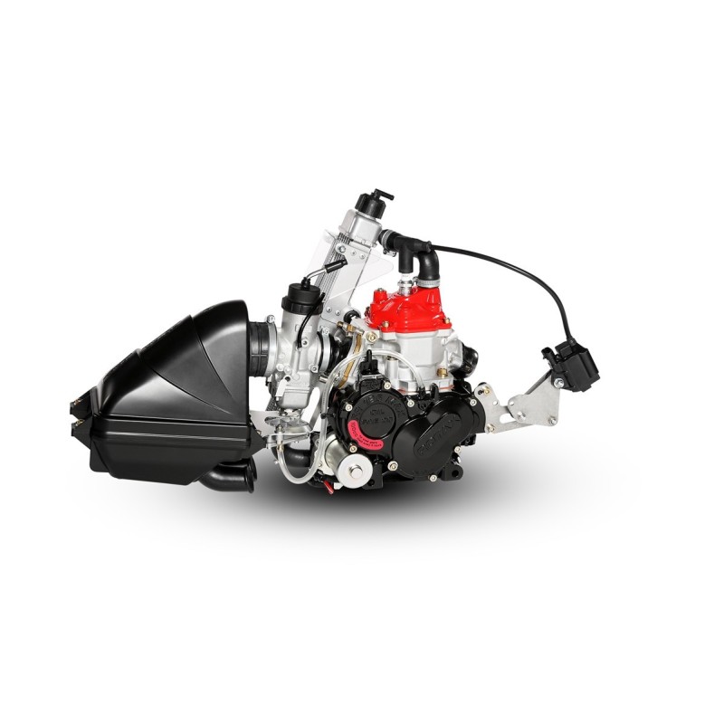 Rotax 125 MICRO MAX EVO Rotax 125 MICRO MAX EVO