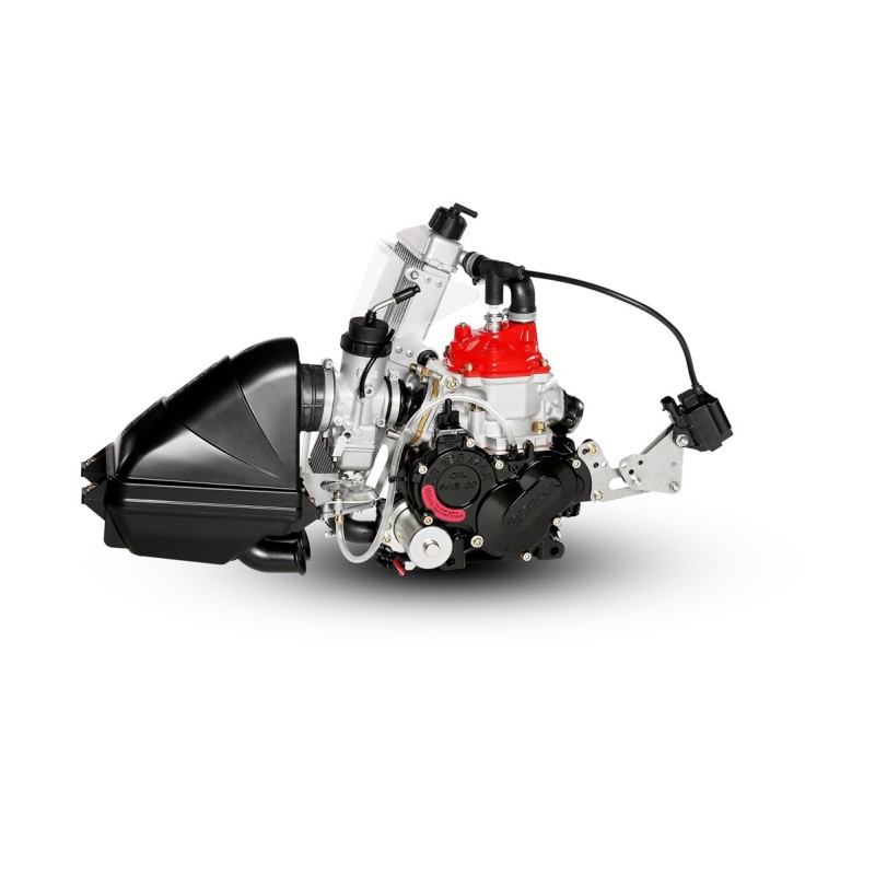 Rotax 125 MAX EVO MINI Rotax 125 MAX EVO MINI